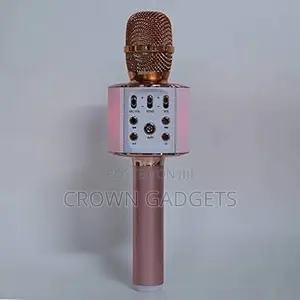 WS858 Wireless Karaoke Mic for Kids