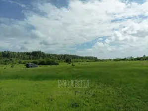 Makuyu 178 Acres Red Soil for Sale