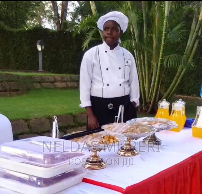 Professional Chef