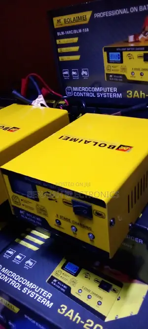 Electric Quick Battery Charger