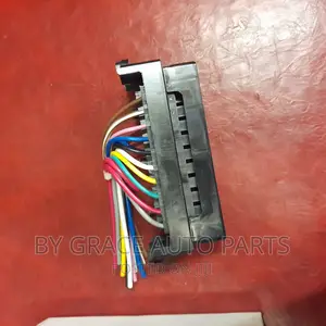 Fuse Box/Fuse Holder.
