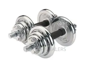 Chrome Dumbbell 10kg/10kg Chrome Dumbells