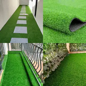 Grass Carpet Grass Carpet Grass Carpet Grass Carpet Grass