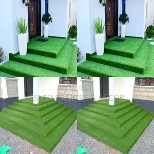 Grass Carpet Grass Carpet Grass Carpet Grass Carpet Grass
