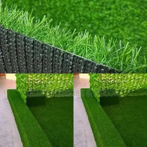 Grass Carpet Grass Carpet Grass Carpet Grass Carpet Grass