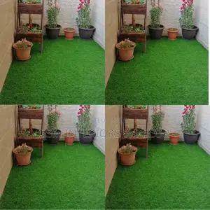 Grass Carpet Grass Carpet Grass Carpet Grass Carpet Grass