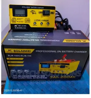 Lead Acid Battery Charger Pulse Repair Intelligent Technolog