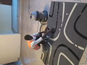 Professional Carpet Cleaning and Fumigation Services