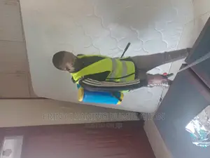 Bedbugs Services and Cockroaches Near You