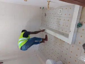Bathroom Tiles and Wall Cleaning