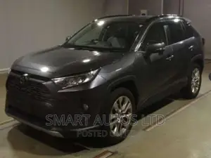 Toyota RAV4 2019 Gray