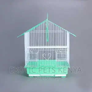 Green Bird Cages Standard Size