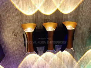 Indoor 3 in 1 Light