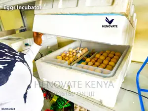 70eggs Incubator.Best Quality Ever.In Kiambu Ruiru