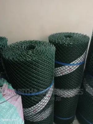 Plastic Chicken Wire Mesh