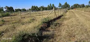 Several Plots for Sale in Illula Eldoret
