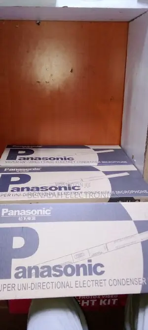 Professional Panasonic Condenser Boom Mic^^[Unidirectional]
