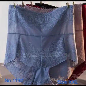 Plus Size Ladies Panties
