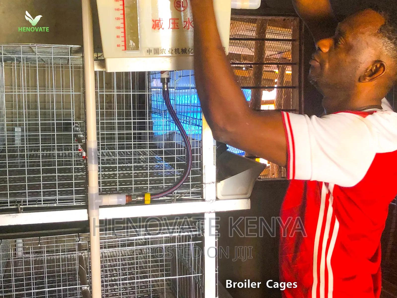 Broiler Cage