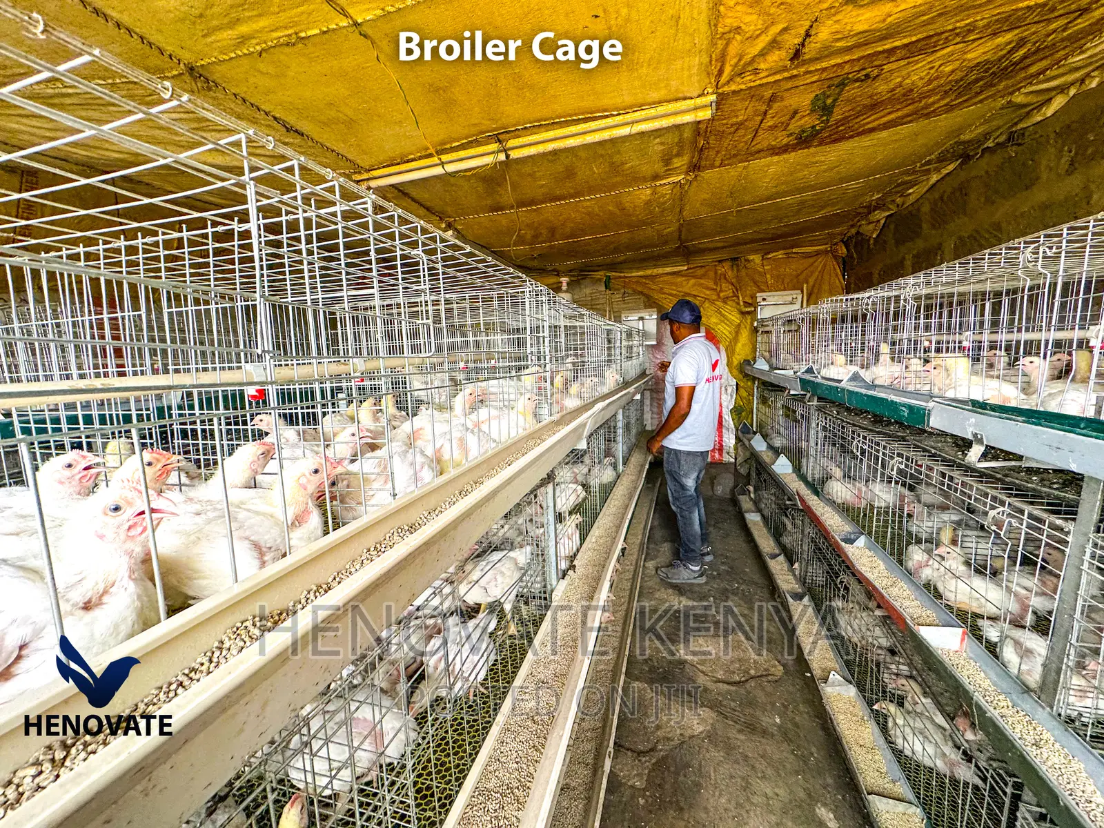 Broiler Cage