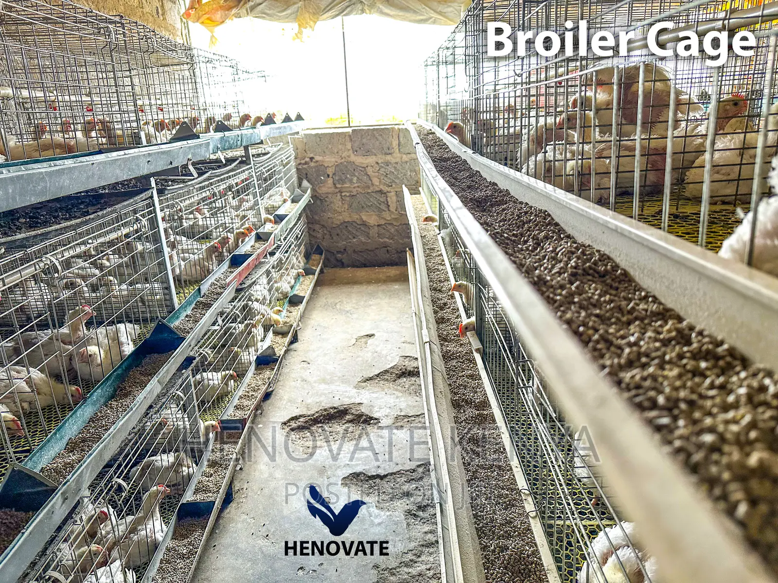 Broiler Cage