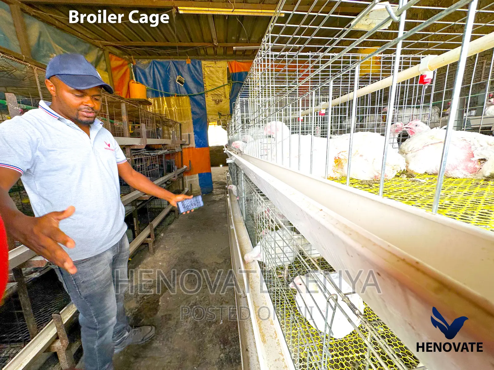 Broiler Cage