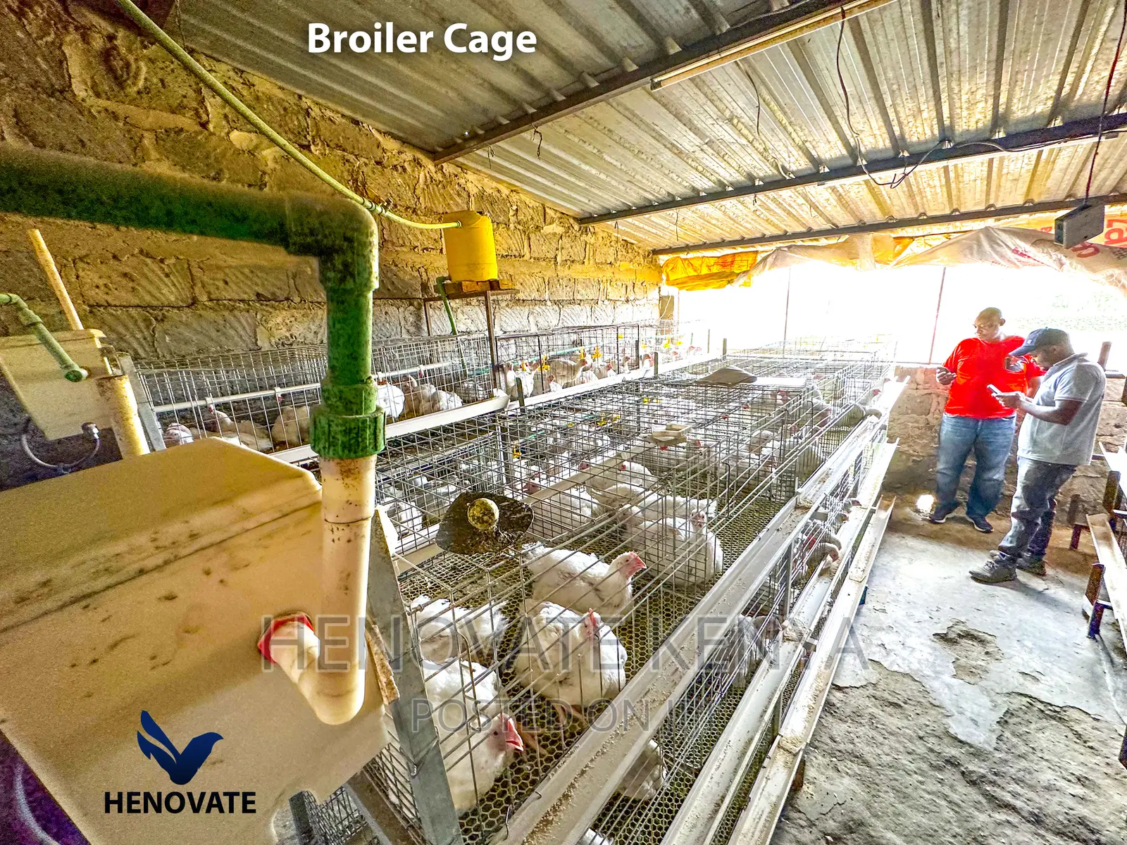 Broiler Cage