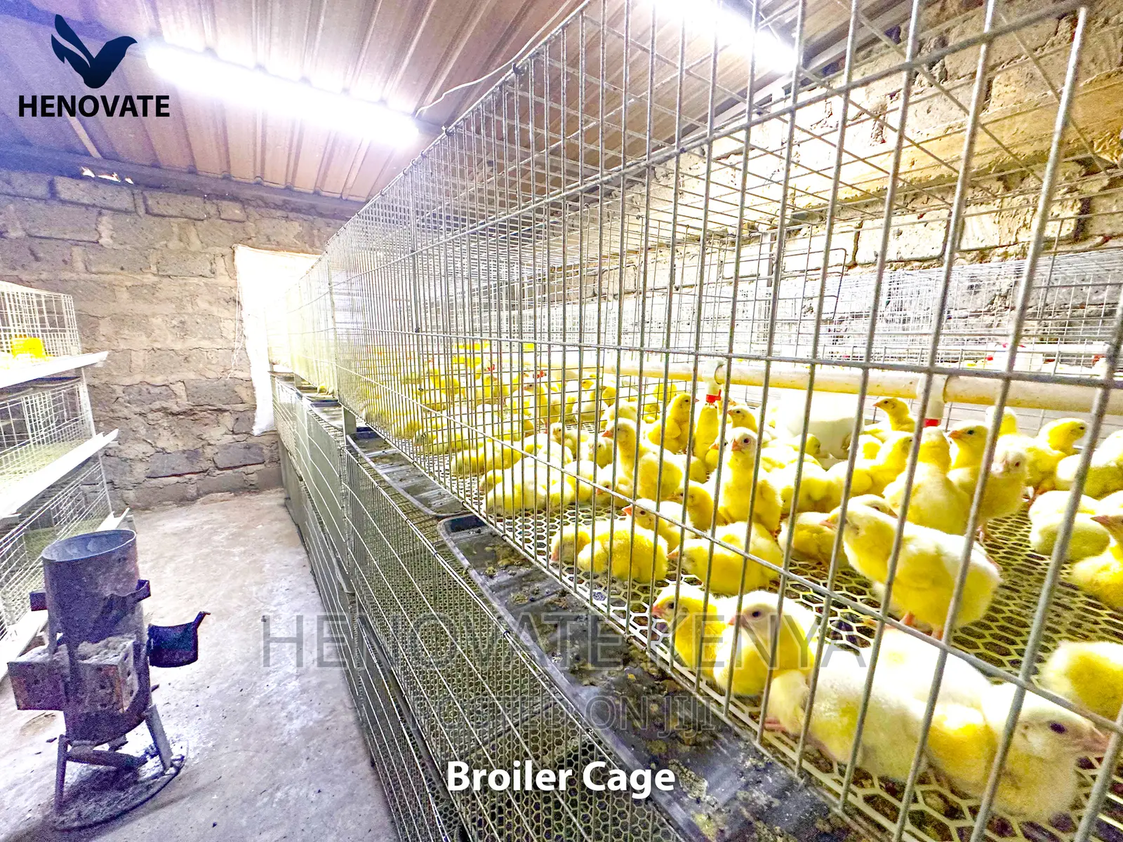 Broiler Cage