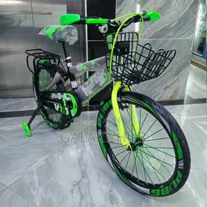 Executive Bicycle, Size 20 Bike