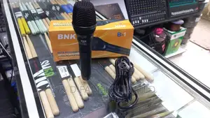B1 Wire Microphone BNK