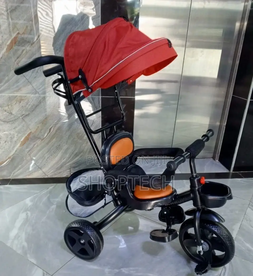 Tricycle With Canopy Push Handle