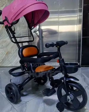 Tricycle With Canopy Push Handle