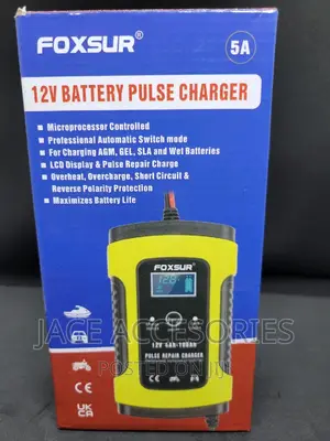 12v Battery Pulse Charger