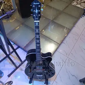Ibanez Hollow Body Electric Guitar