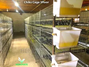 Chicken Cage