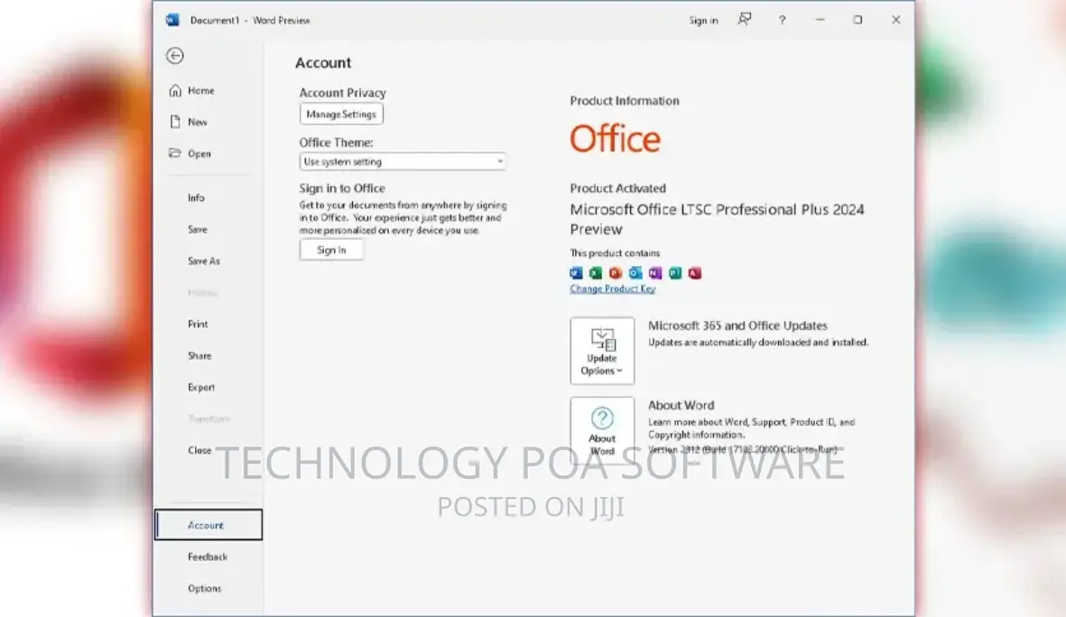 Microsoft Office 2024 Professional Plus