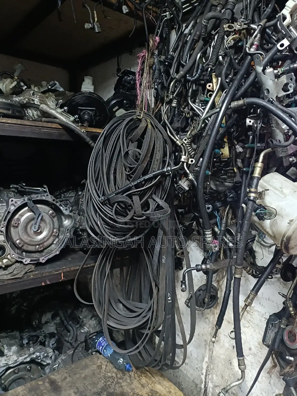 Timing Belts