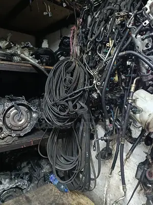 Timing Belts