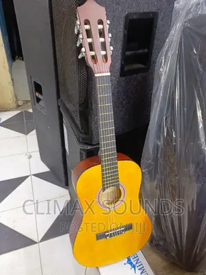 Classical Guitar Size 38 Inc;;