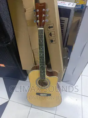 Fender Semi Acoustic Guitar'r