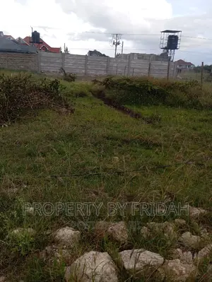 Chuna Estate Kitengela