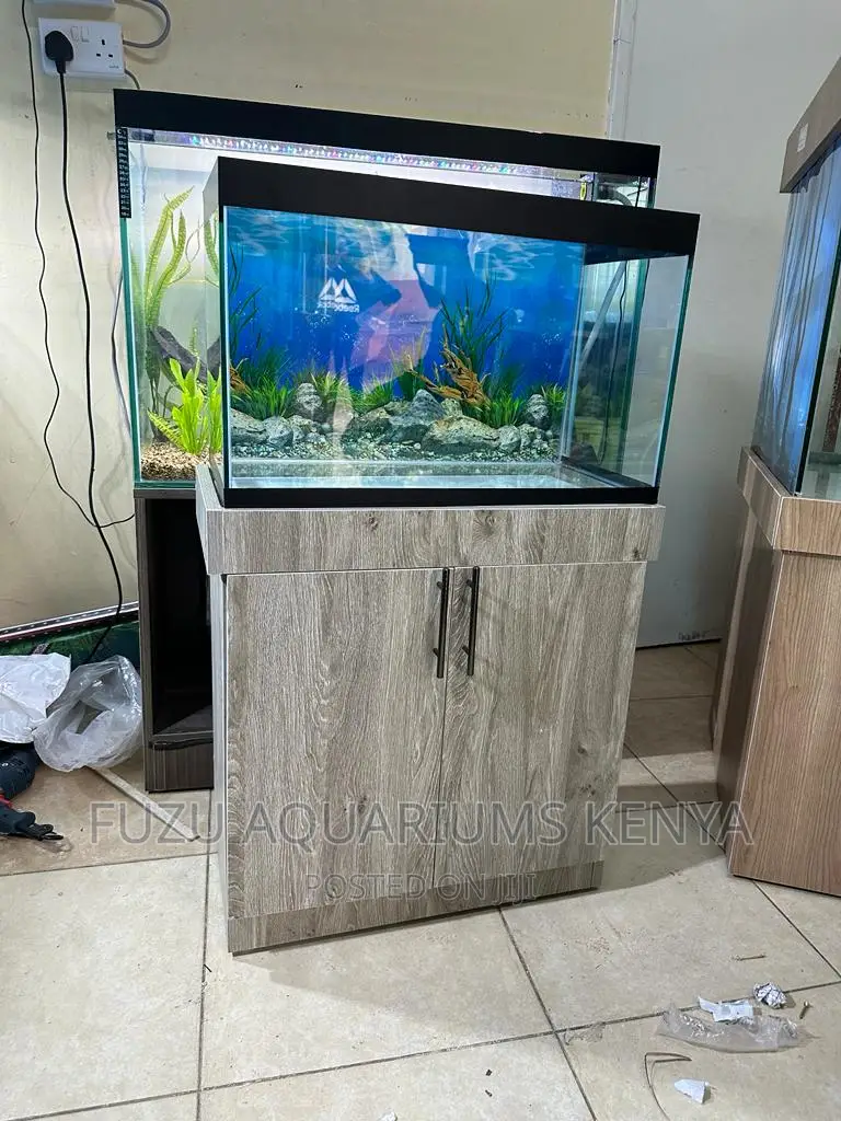 Aquarium With Both 10fish , Stand and Accessories.