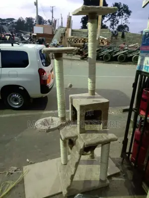Cat Tree / Cat Tower With House
