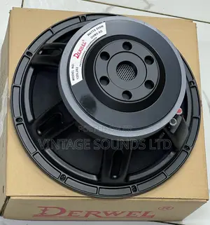 12”Derwel Loudspeaker Model No. 12dl202