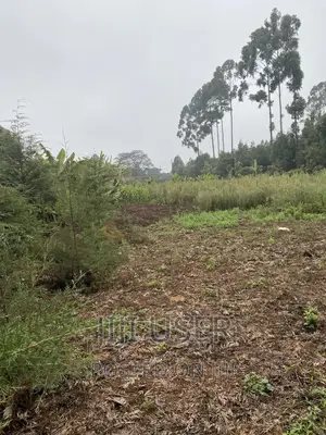 1 or 2 Acre Parcel Close to Sigona Golf Club