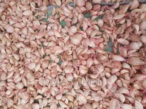Saumu/Garlic Seeds