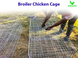 Broiler Cage System