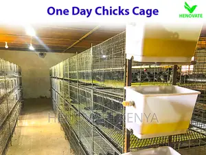 Chicks Cage for One Day