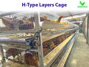 High Quality H Type Layer Cage