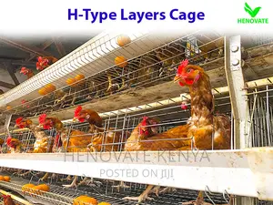 High Quality H Type Layer Cage